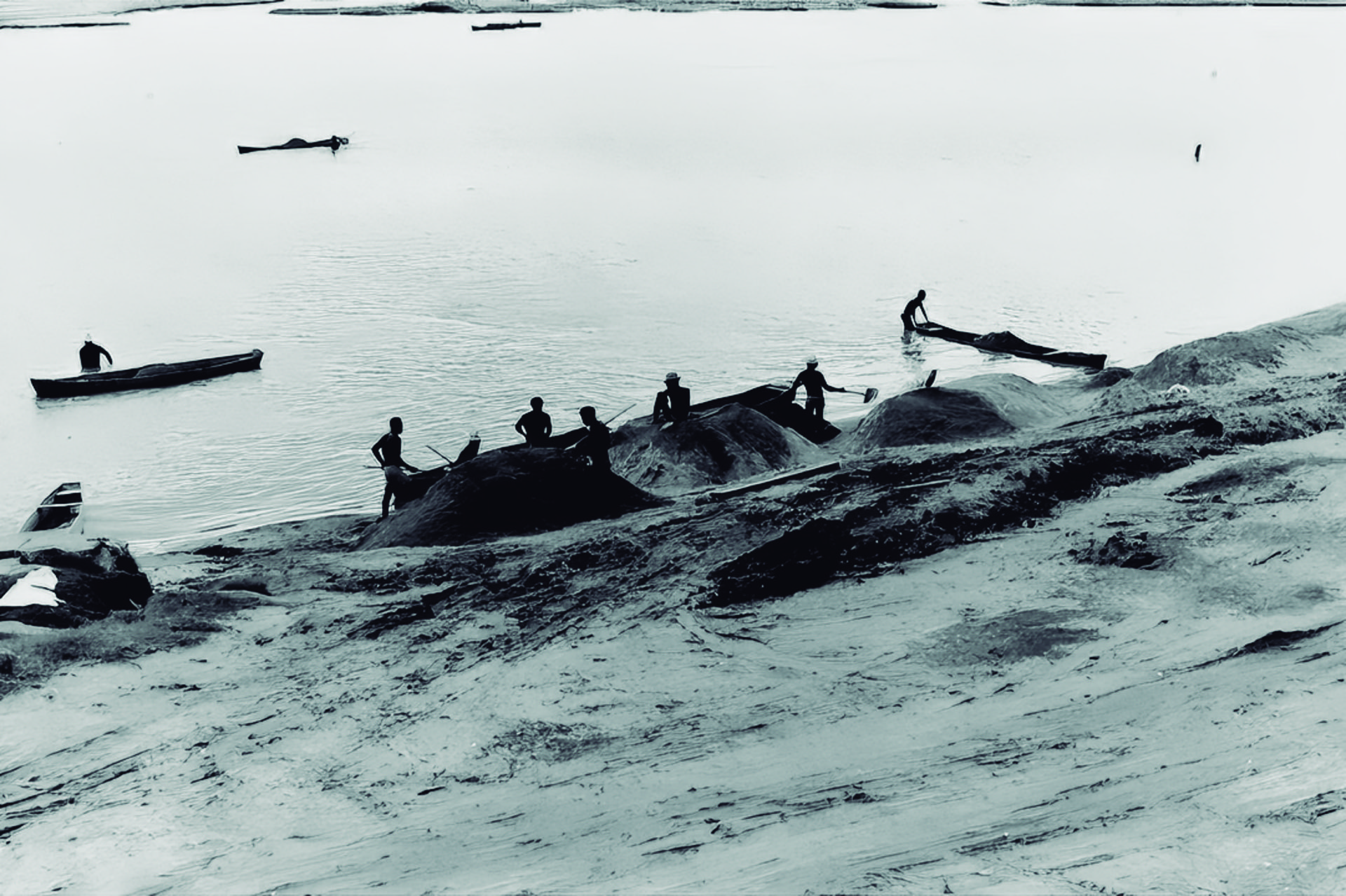 Vida às margens do rio
